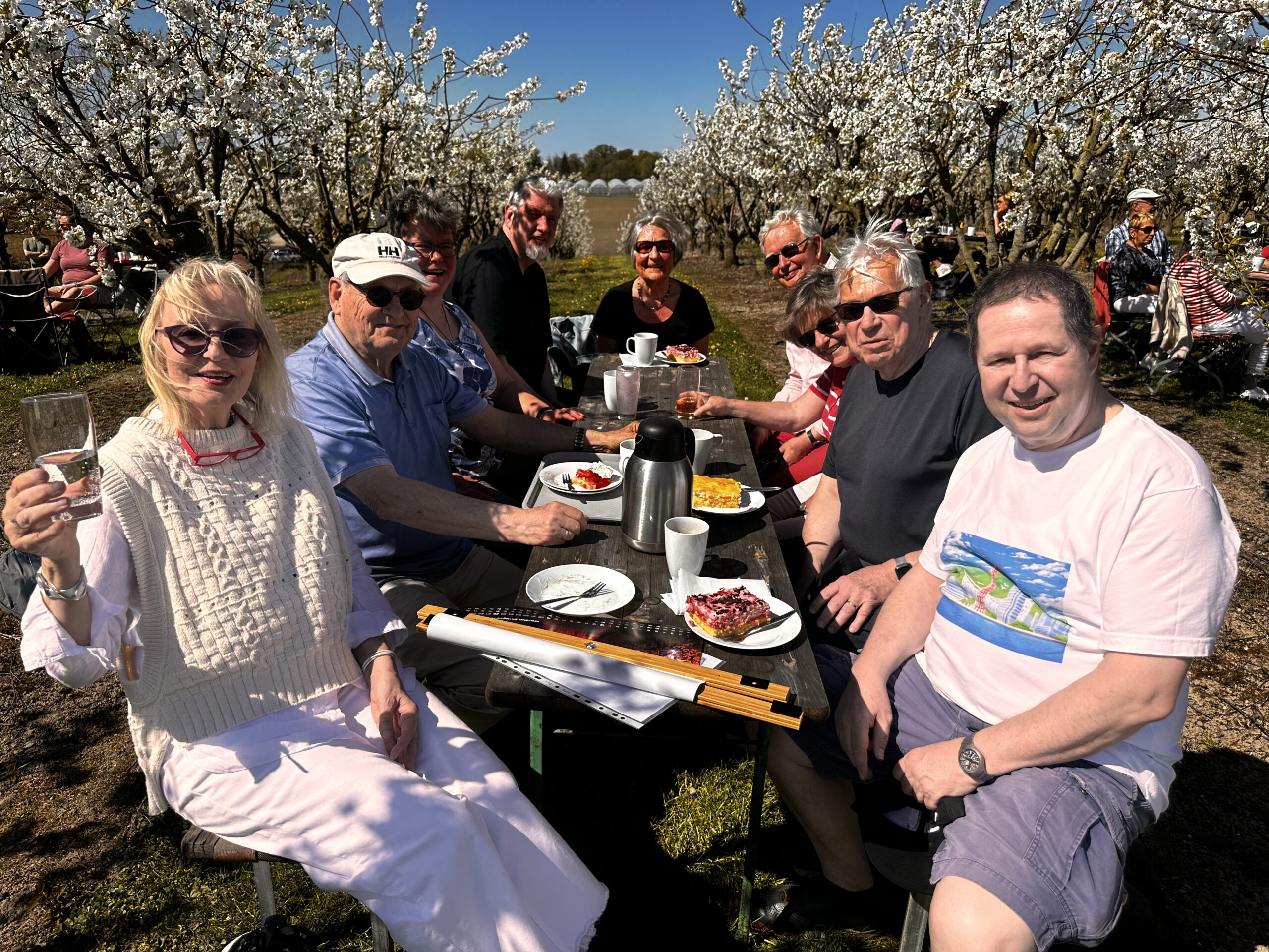 Fröhliches Hanami-Treffen der DJG-SH